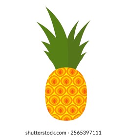 pineapple fruit vector. pineapple fruit vector collection. pineapple fruit illustration in flat style. fresh summer fruit.