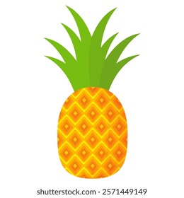 pineapple fruit vector. pineapple fruit vector collection. pineapple fruit illustration in flat style. fresh summer fruit.