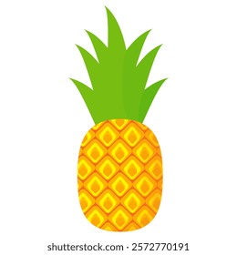 pineapple fruit vector. pineapple fruit vector collection. pineapple fruit illustration in flat style. fresh summer fruit.