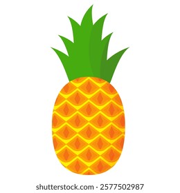 pineapple fruit vector. pineapple fruit vector collection. pineapple fruit illustration in flat style. fresh summer fruit.