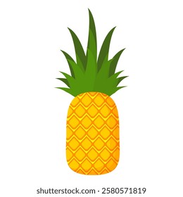 pineapple fruit vector. pineapple fruit vector collection. pineapple fruit illustration in flat style. fresh summer fruit.