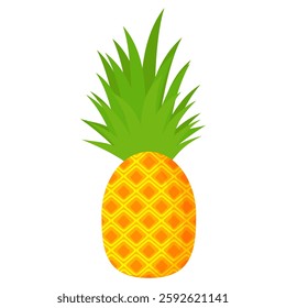 pineapple fruit vector. pineapple fruit vector collection. pineapple fruit illustration in flat style. fresh summer fruit.
