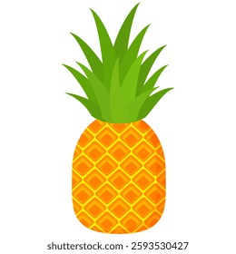 pineapple fruit vector. pineapple fruit vector collection. pineapple fruit illustration in flat style. fresh summer fruit.