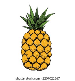 Pineapple Fruit Vector Design icon