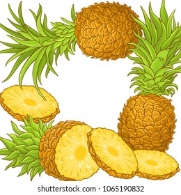 pineapple fruit vector frame