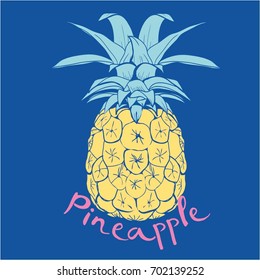 pineapple fruit, vector, illustration
