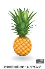 Pineapple fruit. Vector illustration cartoon flat icon isolated on white.Tropical healthy tasty fruit, sweet ananas.