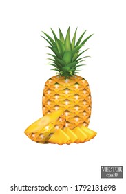 Pineapple fruit. Vector illustration cartoon flat icon isolated on white.Tropical healthy tasty fruit, sweet ananas.