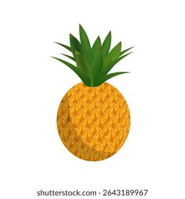  Pineapple fruit vector. pineapple  fruit illustration in flat style.