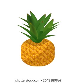  Pineapple fruit vector. pineapple  fruit illustration in flat style.