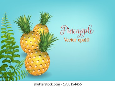 Pineapple fruit. Vector illustration on blue background.Tropical healthy tasty fruit, sweet ananas.place for text.