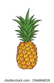 Pineapple Fruit Vector Illustrations Isolated