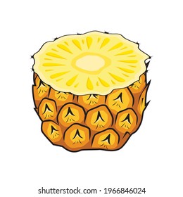 Pineapple Fruit Vector Illustrations Isolated