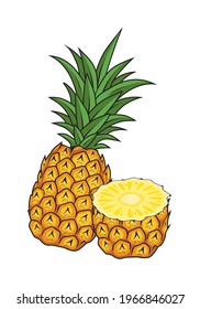 Pineapple Fruit Vector Illustrations Isolated