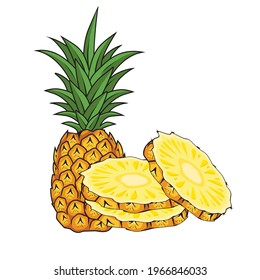 Pineapple Fruit Vector Illustrations Isolated