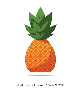 Pineapple fruit vector isolated illustration