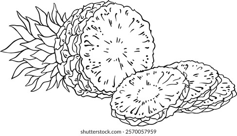 pineapple fruit vector isolated illustration