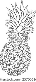 pineapple fruit vector isolated illustration 