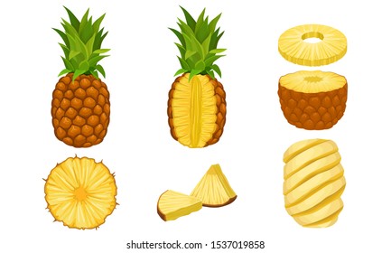 Pineapple Fruit Vector Isolated Set. Fresh Exotic Fruit Cut Into Slices and Halves