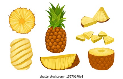 Pineapple Fruit Vector Isolated Set. Fresh Exotic Fruit Cut Into Slices and Halves