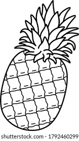 Pineapple fruit. Vector outline icon.