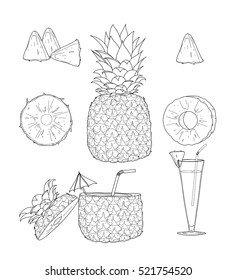 Pineapple. Fruit vector set line art hand drawn  cute cartoon illustration