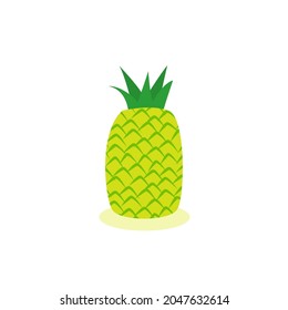 pineapple Fruit vector with white background. 