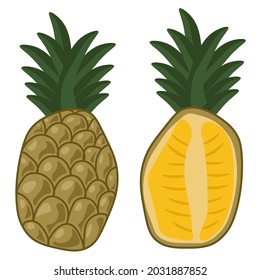 Pineapple fruit whole and half, juicy tropical fruit with a bunch of green leaves vector illustration