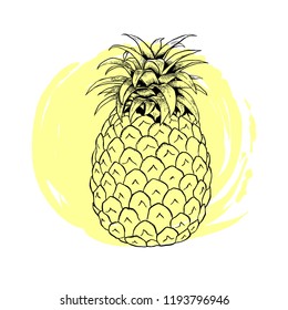 Pineapple fruit with yellow abstract circle round background. Concept for eco healthy organic food. Print sketch cartoon line art hand drawn vector illustration