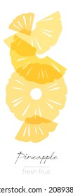 Pineapple fruits. Flat illustration. Beautiful transparent slices and pieces, cut fruits.