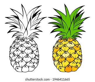 Pineapple fruits vector Illustration. Object isolated on white background. Doodle style. Cloth design.
