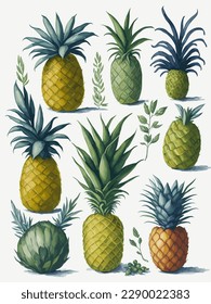 Pineapple Fruits. Watercolor Pineapple. Fresh Pineapple for summer. Pineapple Illustration watercolor