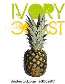 pineapple graphic design vector art
