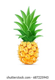 Ananas mit grünem Blatt. Tropische Früchte. Exotische vegetarische natürliche Mahlzeit. Einziger weißer Hintergrund. Vektorgrafik.