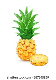 Ananas mit grünem Blatt. Tropische Früchte. Exotische vegetarische natürliche Mahlzeit. Einziger weißer Hintergrund. Vektorgrafik.