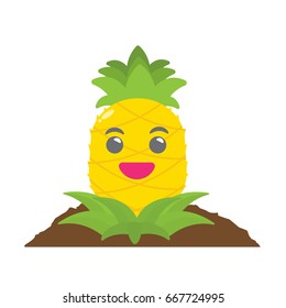Pineapple growing on fertile soil. Smiling happily, delicious and passionate.