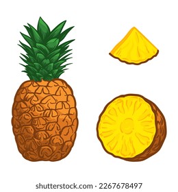 Pineapple, half pineapple and a slice. Vector illustration of pineapple isolated on a white background.