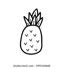 Pineapple hand drawing Isolated on a white background. Vector stock illustration.