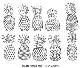 Ananas, handgezeichnet einzeln auf weißem Hintergrund. 