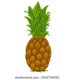 Pineapple hand drawn cartoon illustration. Isolated whole exotic fruit. Tropical print design for menu, summer party, stickers, beauty products, food on white background