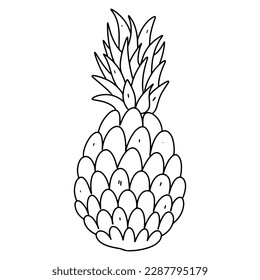 Pineapple in hand drawn doodle style. Vector illustration isolated on white background, Coloring book.