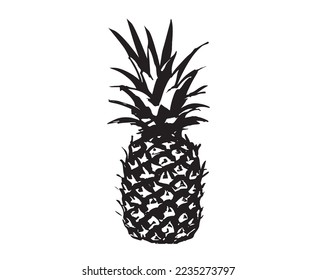 Pineapple hand drawn illustrations, vector.