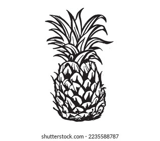 Pineapple hand drawn illustrations, vector.