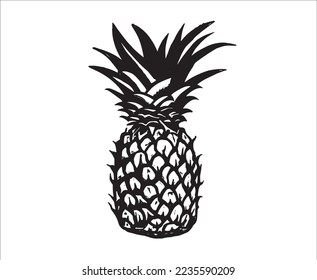 Pineapple hand drawn illustrations, vector.