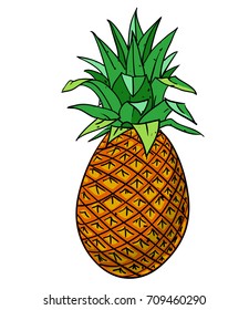Pineapple hand drawn image. Original colorful artwork, comic childish style drawing.
