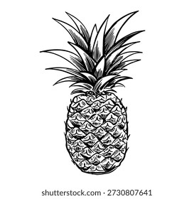 Mão de abacaxi desenhada em branco	