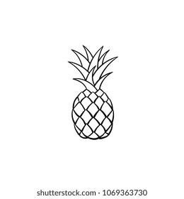 Pineapple hand drawn outline doodle icon. Vector sketch illustration of pineapple fruit for print, web, mobile and infographics isolated on white background.