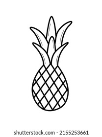 Pineapple. Hand drawn sketch icon of tropic fruit. Isolated vector illustration in doodle line style.