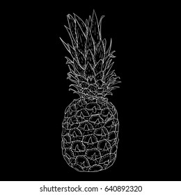 Pineapple. Hand drawn sketch on black background. Vector illustration 