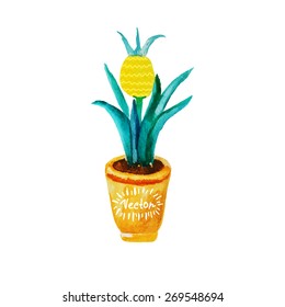 Pineapple hand drawn watercolor, on a white background. Vector illustration. Pineapple in a pot. Exotic tropical houseplant.eco food, healthy foods